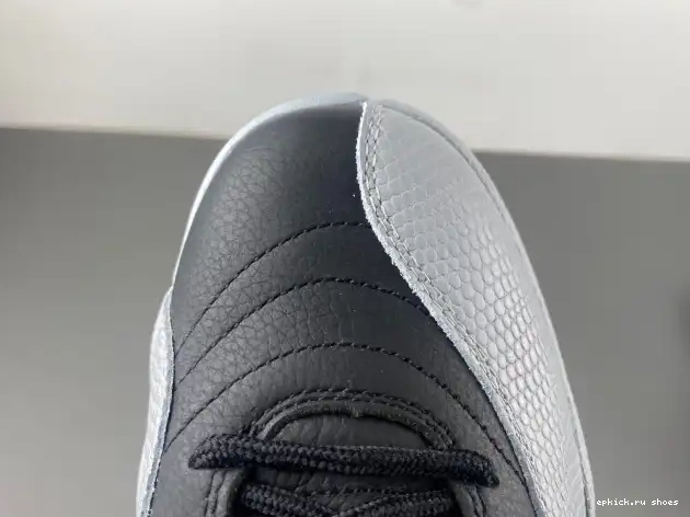 Cheap 12 CT8013-010 Air Jordan Barons 0611